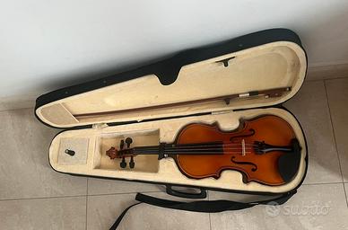 Violino