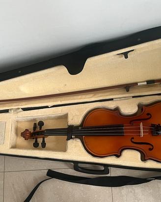 Violino