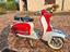 Immagine 6