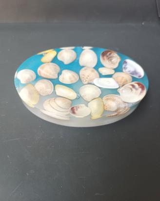 porta sapone conchiglie mare 