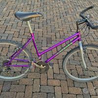 Bicicletta AURORA – Buone condizioni