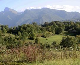 Terreno agricolo biologico a Fivizzano