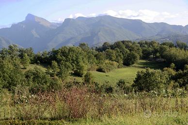 Terreno agricolo biologico a Fivizzano