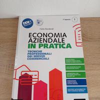 Economia aziendale in pratica (1)