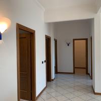 Applique AV Mazzega