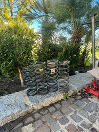 MOLLE X RANGE ROVER CLASSIC