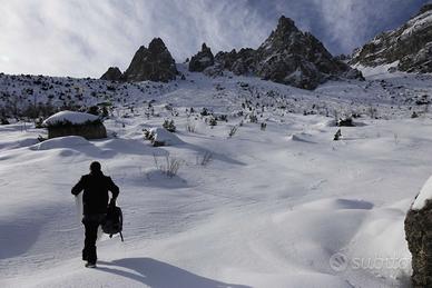 Dipinto fatto con la neve