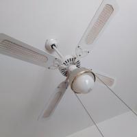 2 Ventilatori a soffitto