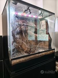 Terrario bioattivo 80X50x80h