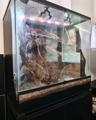 Terrario bioattivo 80X50x80h