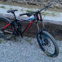 Bici Giant Glory da downhill