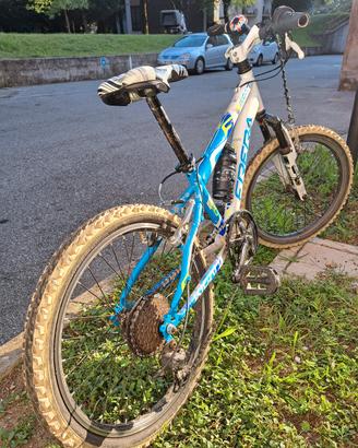 bici mtb bambino