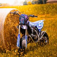 Yz 125 2025