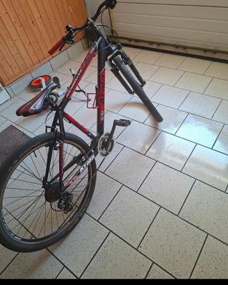 bicicletta 