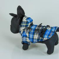  cane cappotto tartan blu 