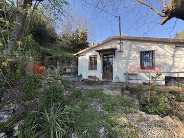 Rustico/Casale/Corte Barga [UM223CVVRG]