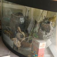 acquario