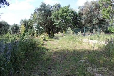 RUSTICO A CAROVIGNO