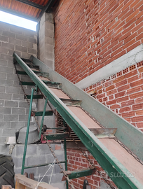 Nastro trasportatore per legna e fieno