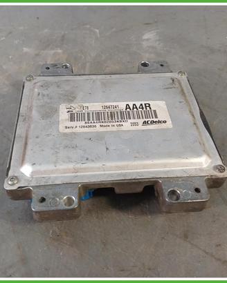 Centralina Motore Iniezione ECU Acdelco 12647241