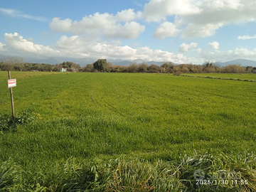 Terreno agricolo Salto di Fondi