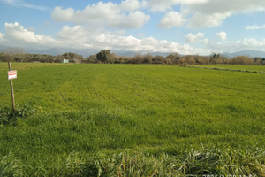 Terreno agricolo Salto di Fondi