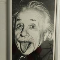 Stampa Einstein
