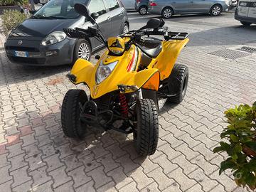 QUAD KYMCO KXR 250