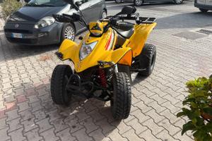 QUAD KYMCO KXR 250