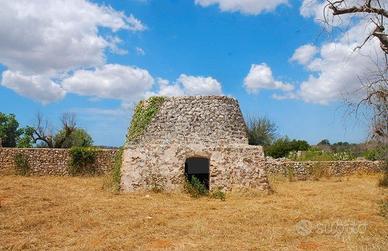 Terreno Agricolo 2.500 mq con pajara a Specchia (L