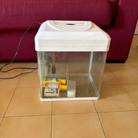 Acquario completo
