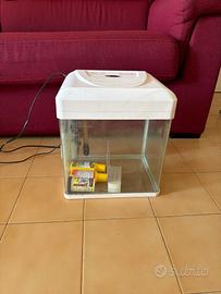 Acquario completo