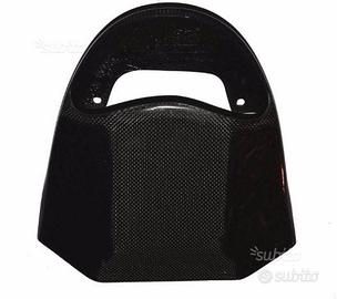 CARBONIO per TRIUMPH -STREET TRIPLE-