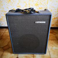 Amplificatore STEELPHON MINIBASS  VINTAGE 