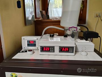 incubatrice