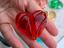 Immagine 6