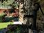 Immagine 17