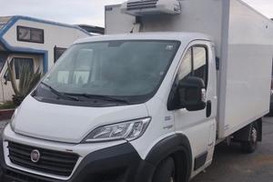 Fiat Ducato Maxi Power 180 2019 telaio