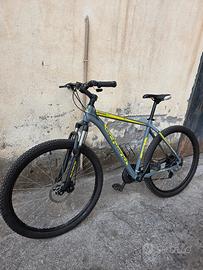 Bici MTB Schiano Dragon 29