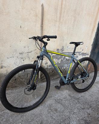 Bici MTB Schiano Dragon 29