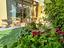 Immagine 27