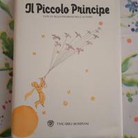 Il piccolo principe