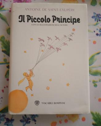 Il piccolo principe