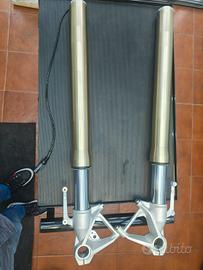 Forcella BMW S1000R dal 2021 (K63)