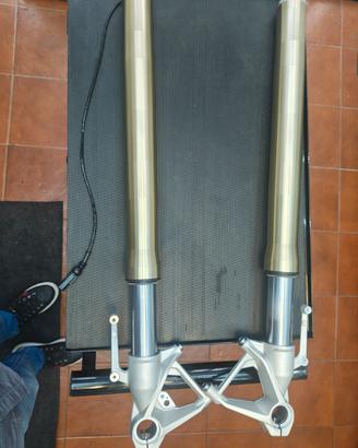 Forcella BMW S1000R dal 2021 (K63)