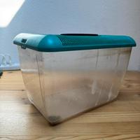 Acquario terrario con crepa