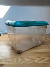 Acquario terrario con crepa