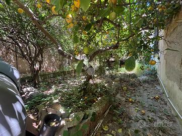 Casa con giardino di pertinenza