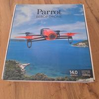 parrot