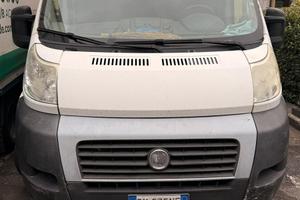 Fiat ducato 2008